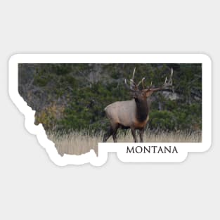 Montana- Rocky Mountain Elk Sticker